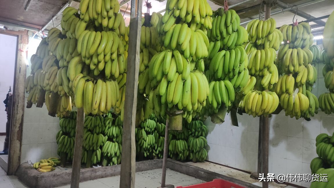 富士康打过工,做生意亏10万,32岁开卡车,依然笑对生活