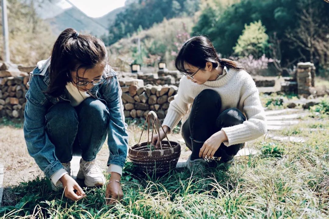 民宿管家招募,民宿管家点亮乡野生活的魔法师