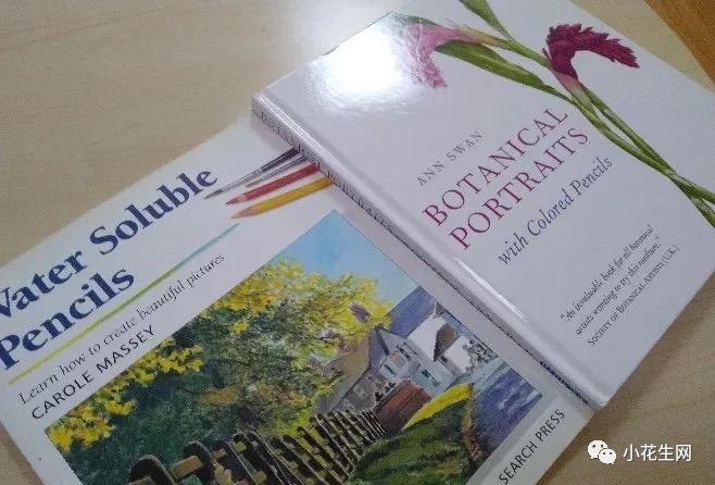 从零开始学绘画必备的画,从零开始学绘画第一步教程