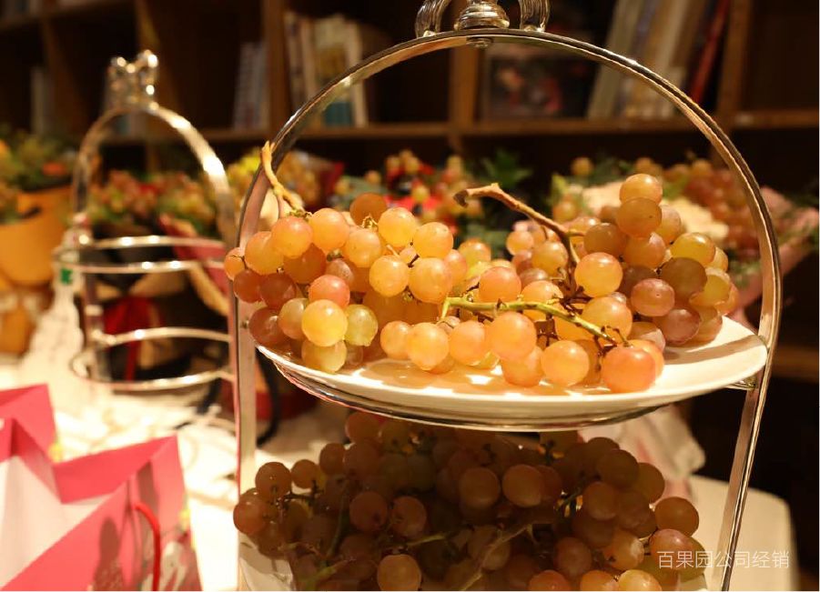 有玫瑰香气的葡萄,有玫瑰的香味的葡萄