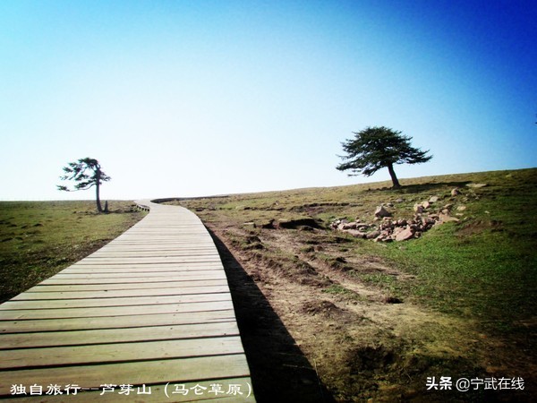 宁武芦芽山悬崖栈道,太原出发芦芽山马仑草原自驾路线
