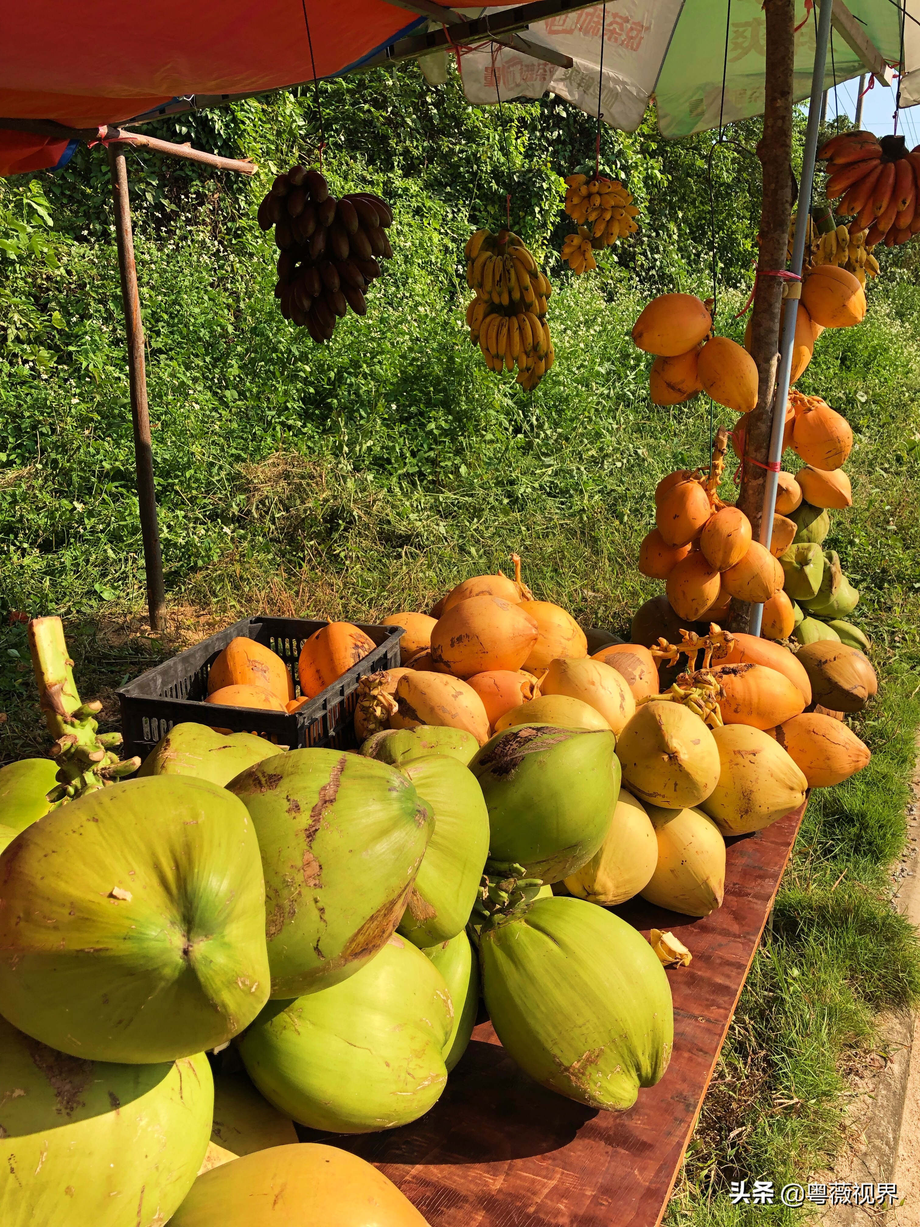 海南岛文昌自驾游攻略,海南文昌椰林湾自驾游攻略