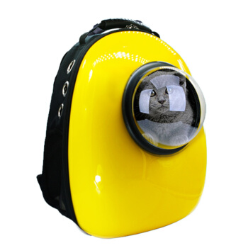 宠物托运需要检疫证吗多少钱,宠物托运要托运费吗