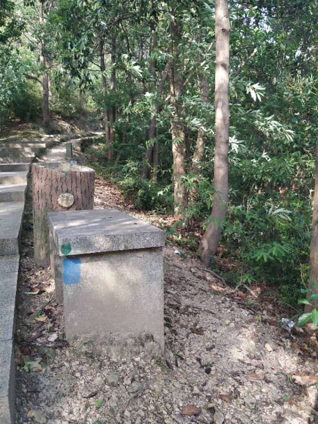 杭州西湖茶山游玩攻略,杭州西湖边游玩