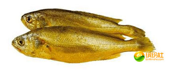 舟山4月份海鲜攻略,舟山海鲜代加工攻略