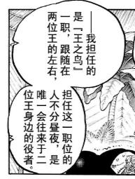 为什么说加洛特是草帽团的第十人 (加洛特是草帽海贼团的第十人)