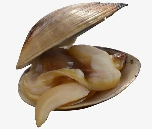 莱阳特产大全莱阳梨,莱阳特产名吃