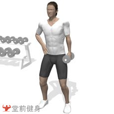 获取一周瘦4斤新手健身计划,初级力量训练计划一周表