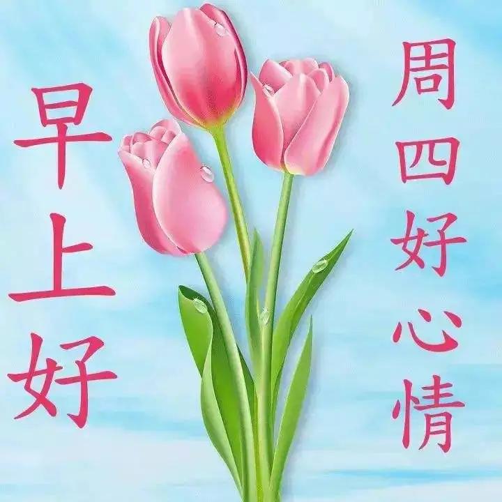 放下过去的一切早上好,放下过往的一切早上好