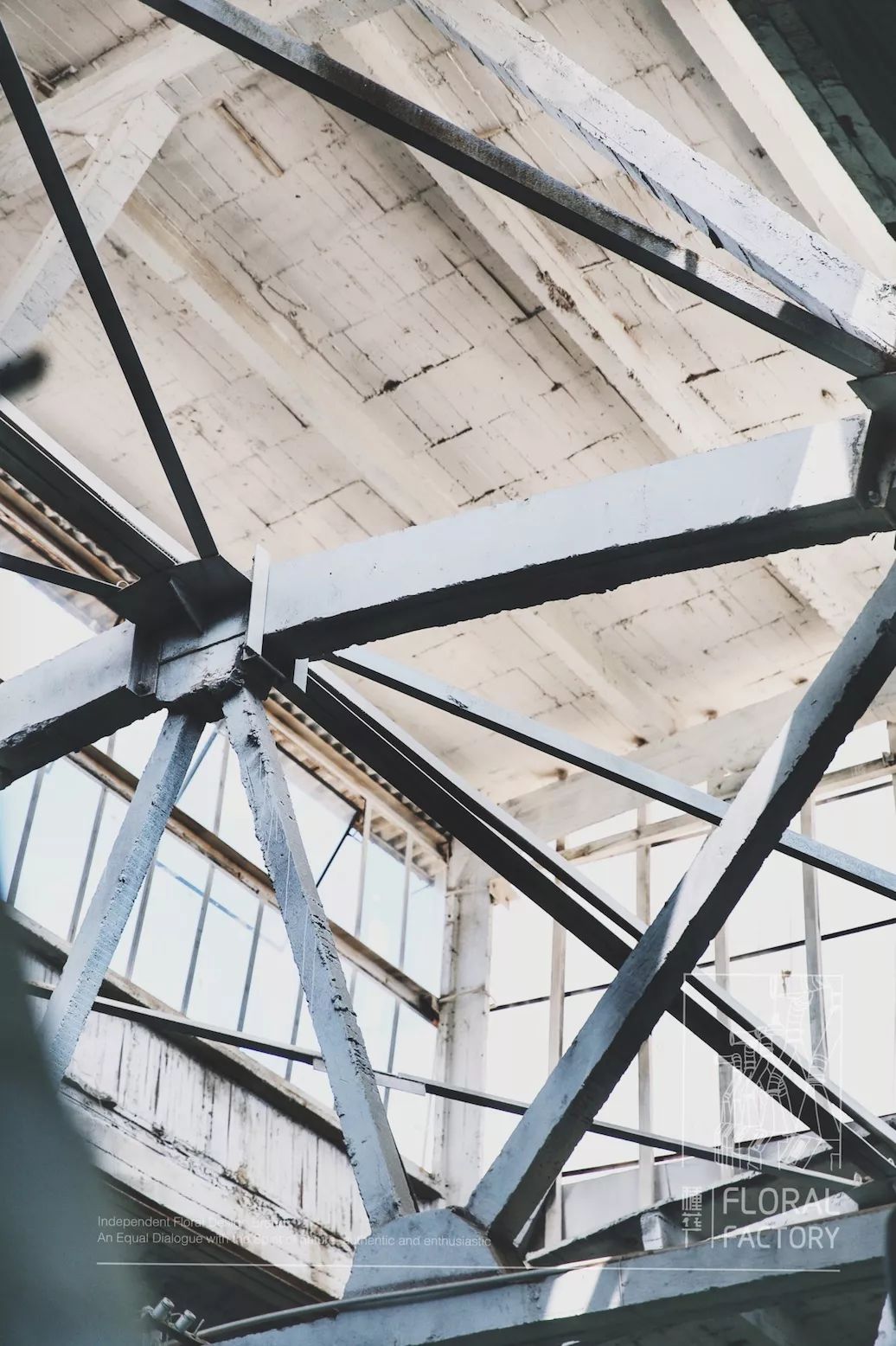 爆改废弃工厂，看三个姑娘如何施展植物魔法