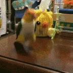 售价高达25万？一只鹦鹉牵出大案！