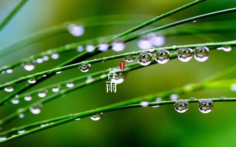 谷雨仓颉庙,谷雨仓颉造字联合国演讲