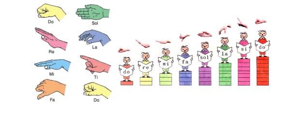 教师资格考试音体美专业复习资料,教师资格证考试音乐学科知识新疆