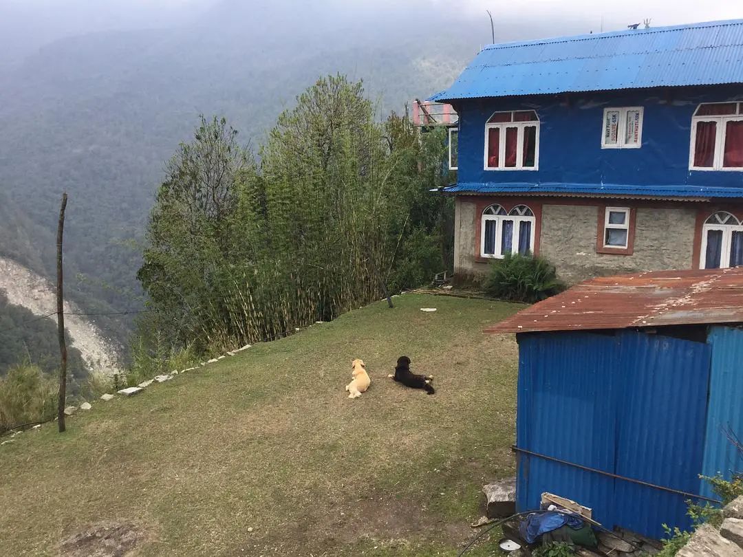 环游世界之挪威第1集,尼泊尔游记总结