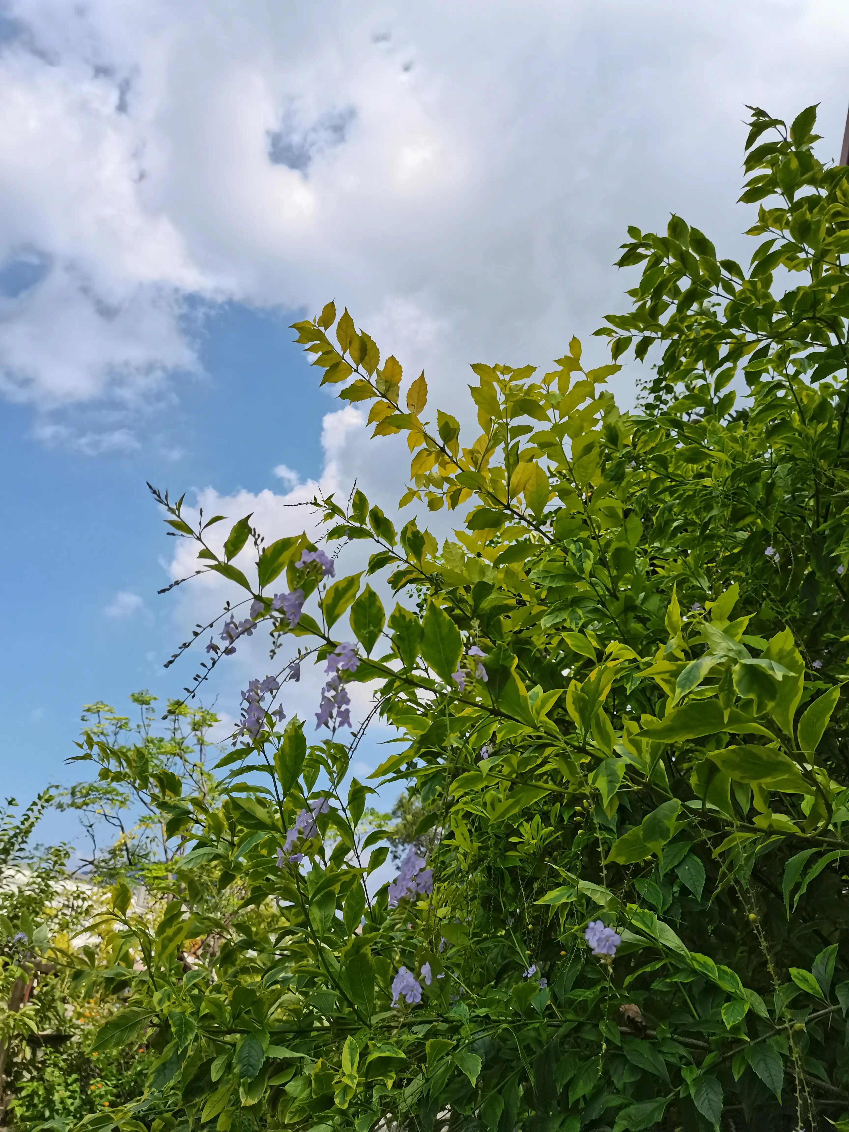温州茶山风景区游玩攻略图,温州瓯海山根小村景区