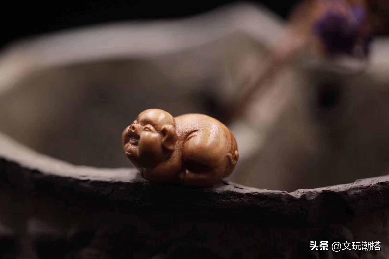 同样是猪同样好吃懒做,同样是猪为什么你这么好看