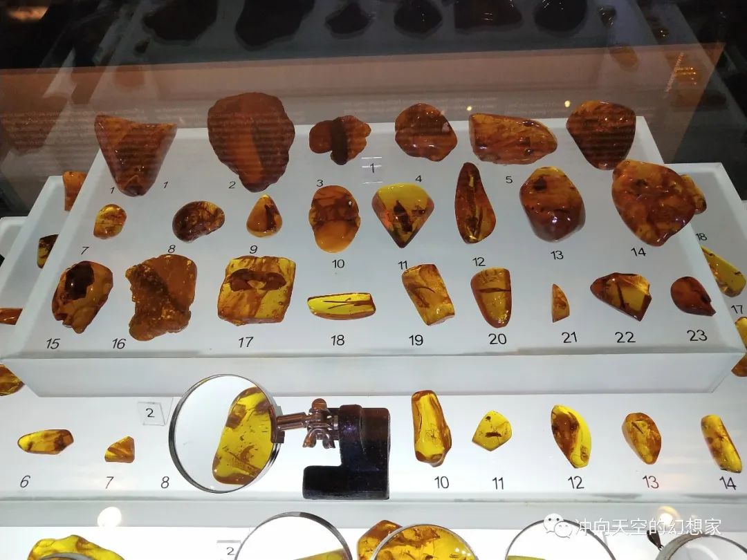 娆ф床鏃呮父鍩庡競,娆ф床鍩庡競鏃呮父搴﹀亣