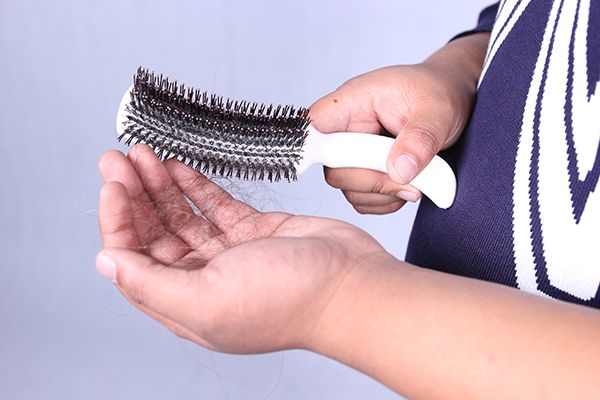 剪发虫会带来什么危害,为什么会出现剪发虫