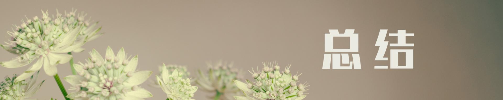 省电石墨烯取暖器油汀,油汀取暖器家用超级节能省电