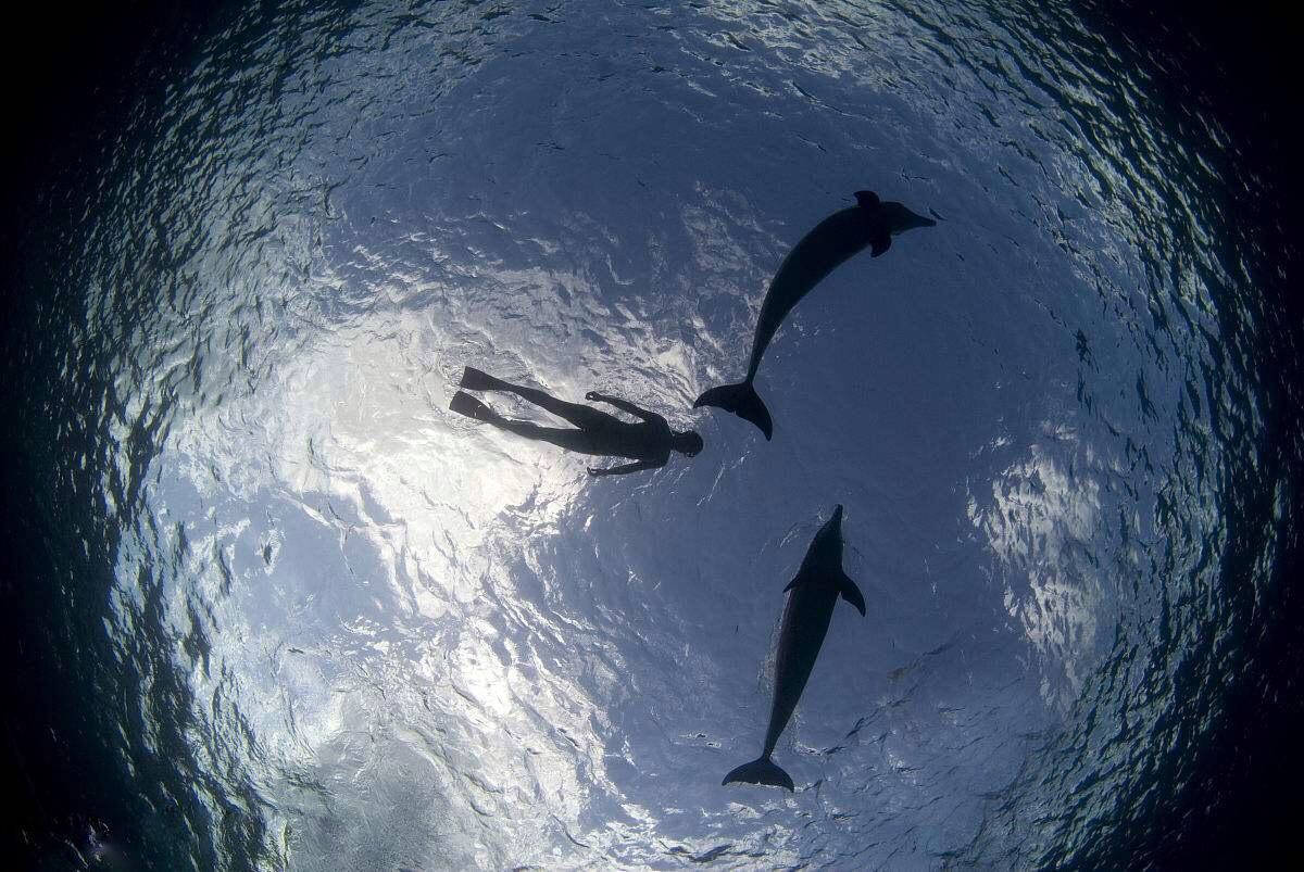 国内十大蜜月旅游胜地,国内婚嫁蜜月推荐地方