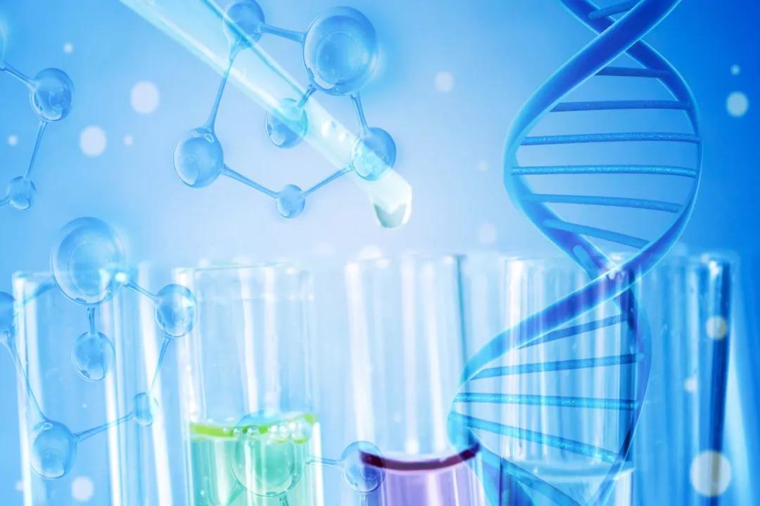 taf韦立得逆转乙肝肝硬化,taf韦立得和其他药的对比