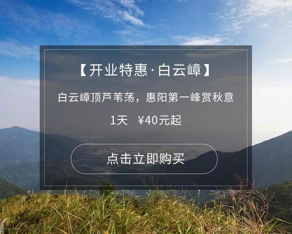 新站区游玩地方,新站区一日游最佳去处