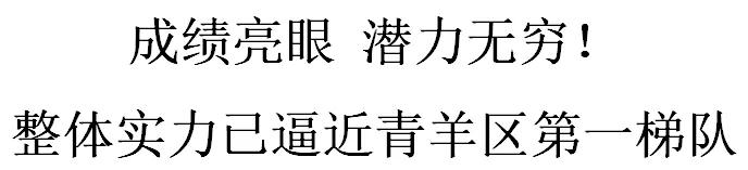 名校领办,名校领办和主办