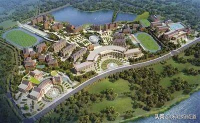 为什么明星孩子都去国际学校,明星子女们上的最好的国际学校