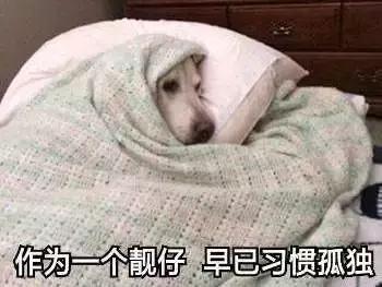 考个研出来学历高了工资也低了,为了考研究生都有多拼