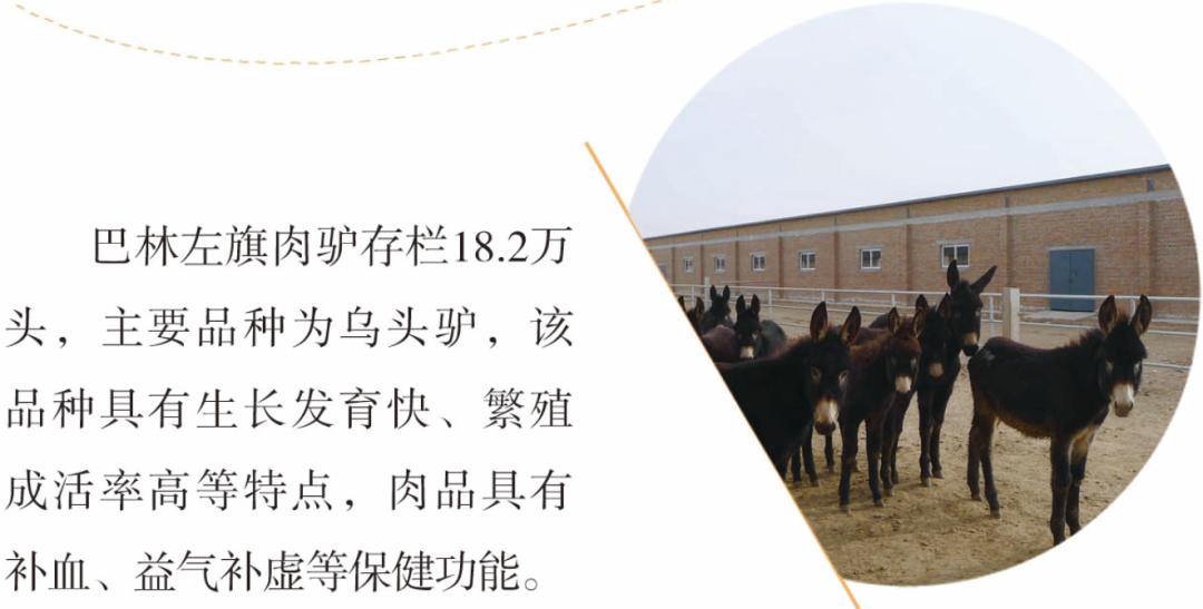 投资兴业沃土蕴藏无限商机——了解一下巴林左旗