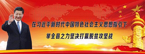 周文军：一个把茶窝子开到3个国家的景东人