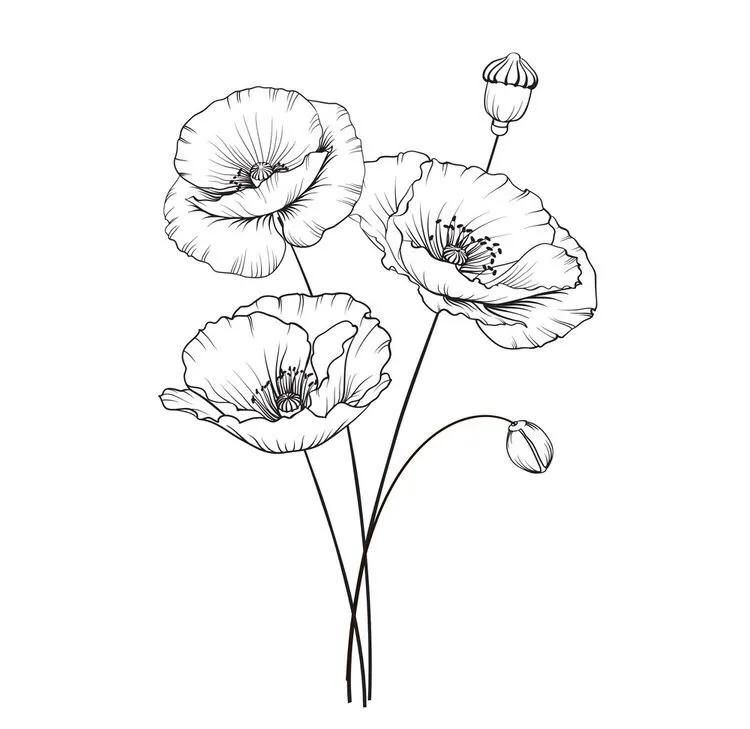 白描花卉线稿初学者,100幅白描花卉图片