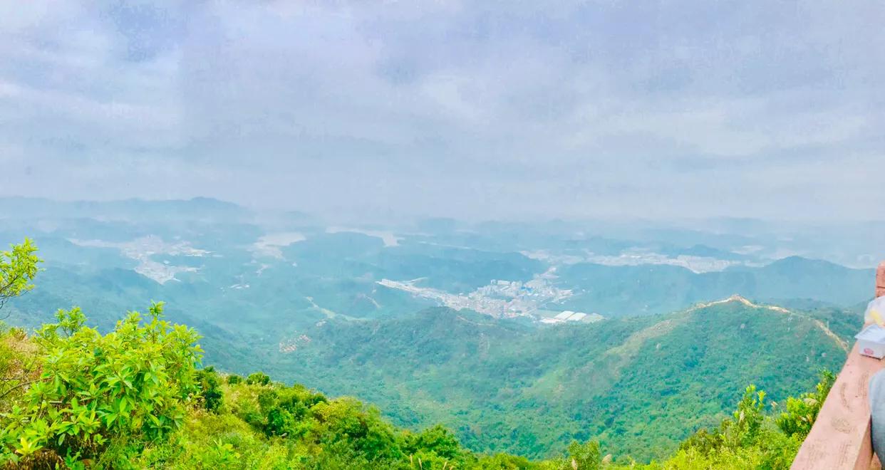 深圳羊台山失踪事件近期,深圳羊台山现在的样子