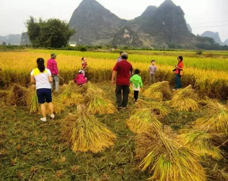 清远七天玩乐,清远一日游最佳景点一览表最新