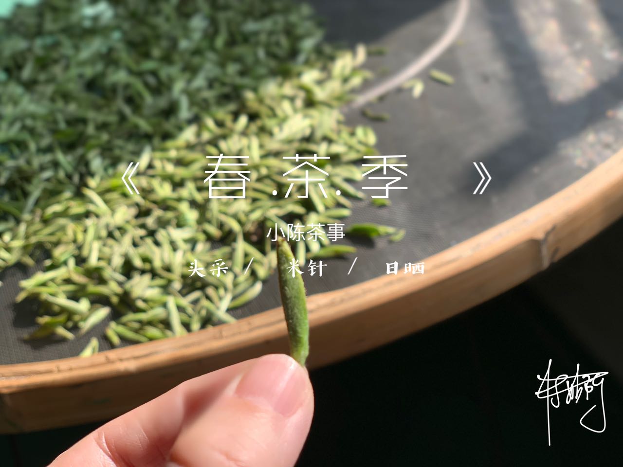 必懂的20个茶叶冷知识,五点冷知识