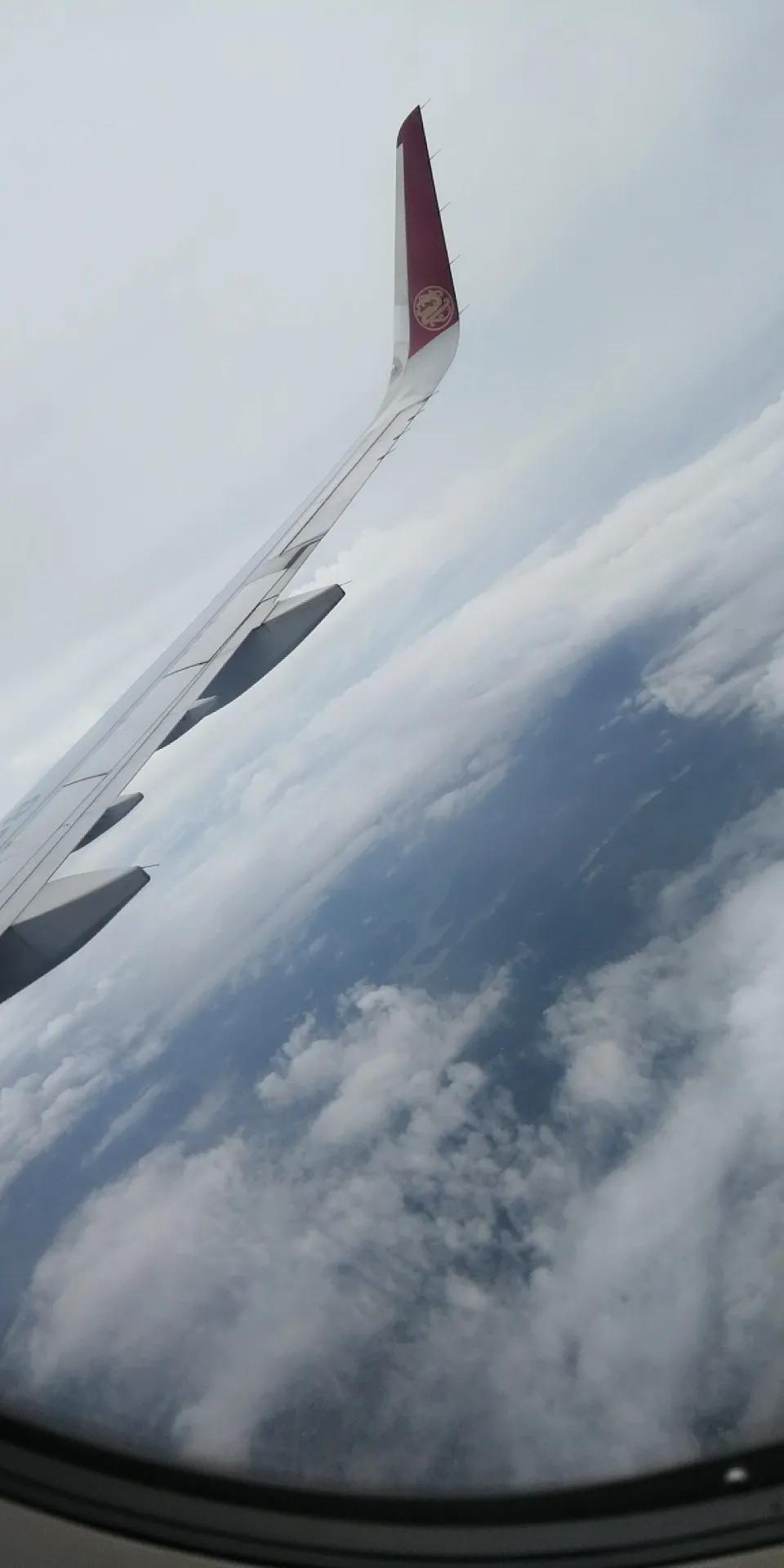 偌大的城市我的栖身之处在何处,偌大的城市容不下一个漂泊的灵魂