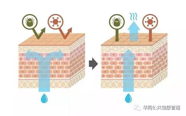 停手!身体这些地方,太爱“干净”反而易生病!看看你有没中招?