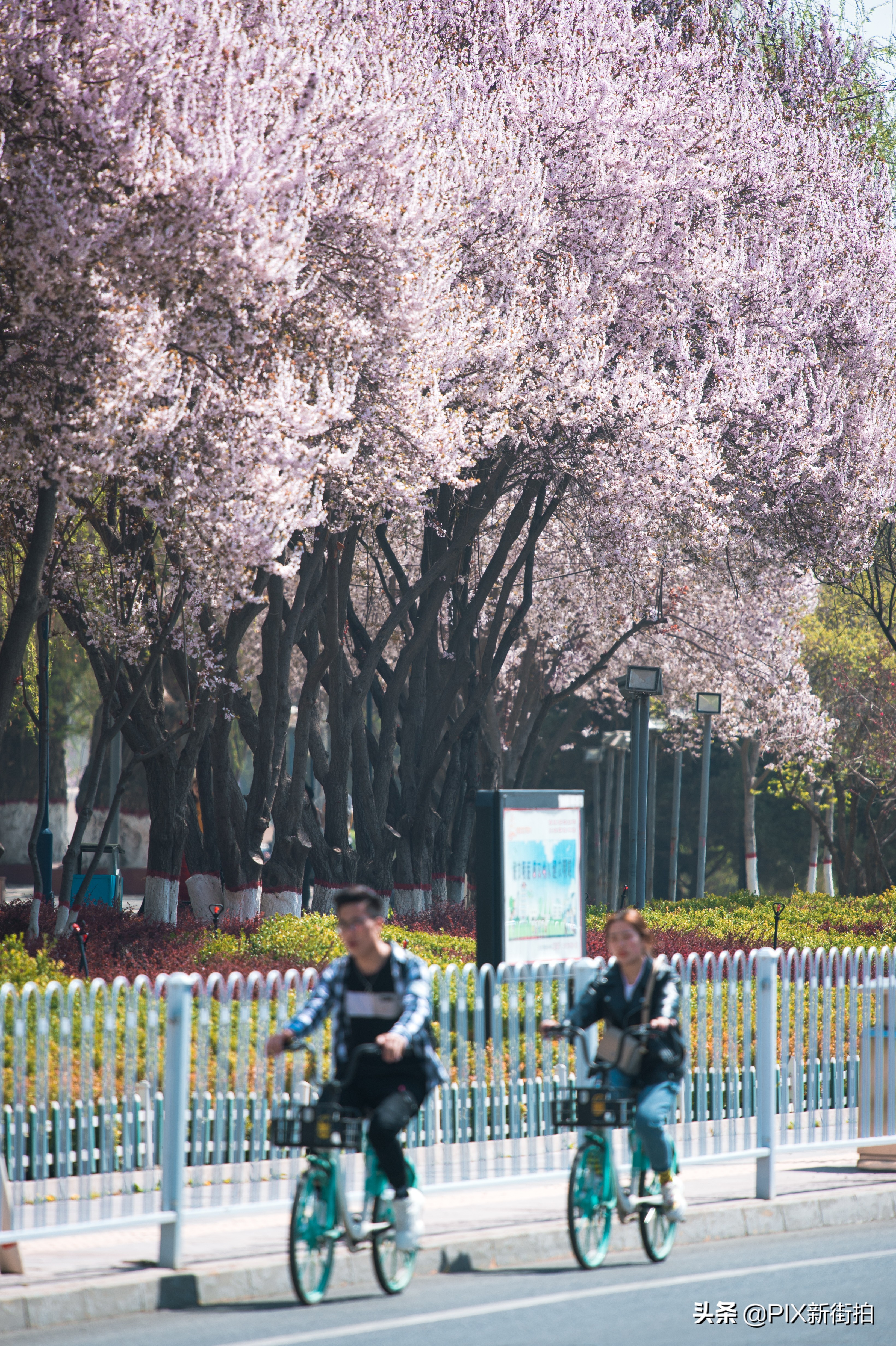 尼康70-300mmf4.5-6.3画质测评,尼康70-300和70-200f4的选择