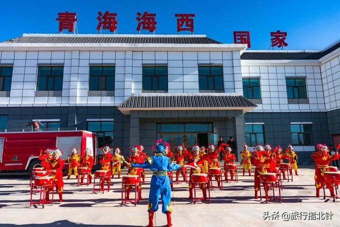 美丽青海，秋收的季节都兰红了，爆汁鲜甜的枸杞有小拇指大小