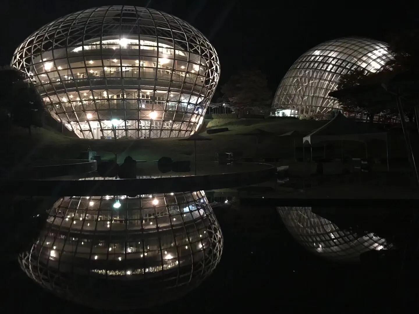 日本疫情举行聚会,日本民众疫情聚会