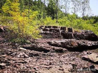 闀垮畨闆呭+,闀垮畨闆呭+瀹屾暣瑙嗛