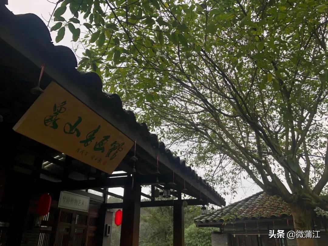 蒲江石象湖景区还开着吗,石象湖开放时间