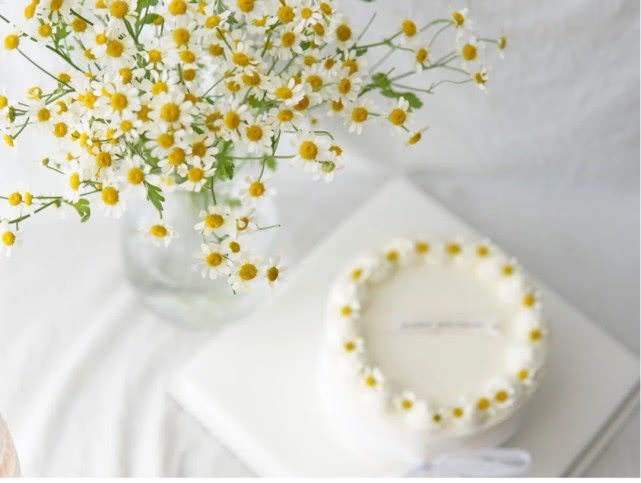 洋甘菊花怎么养护,洋甘菊的醒花及养护