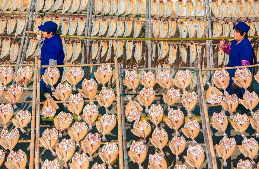 有了这座小县城,封海也封不住浙江人吃海鲜的嘴