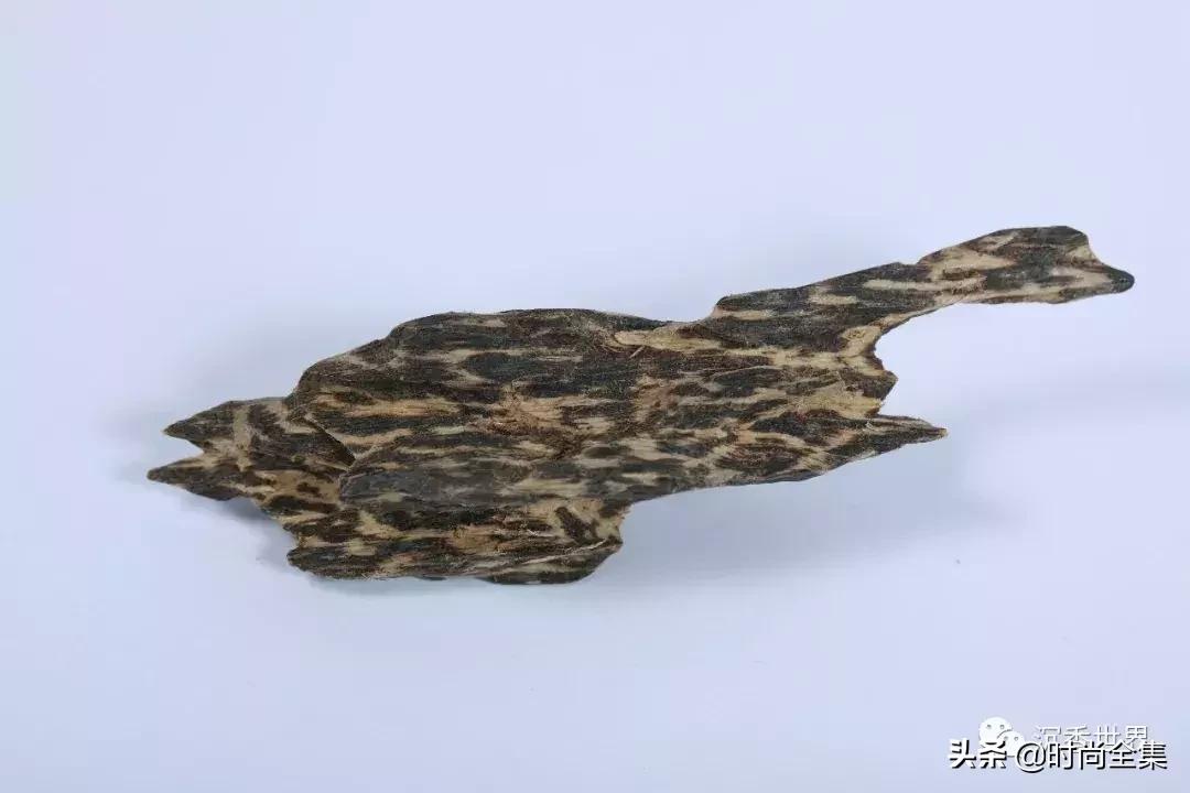 伍佰艺沉香集团,最好的沉香哪里产的