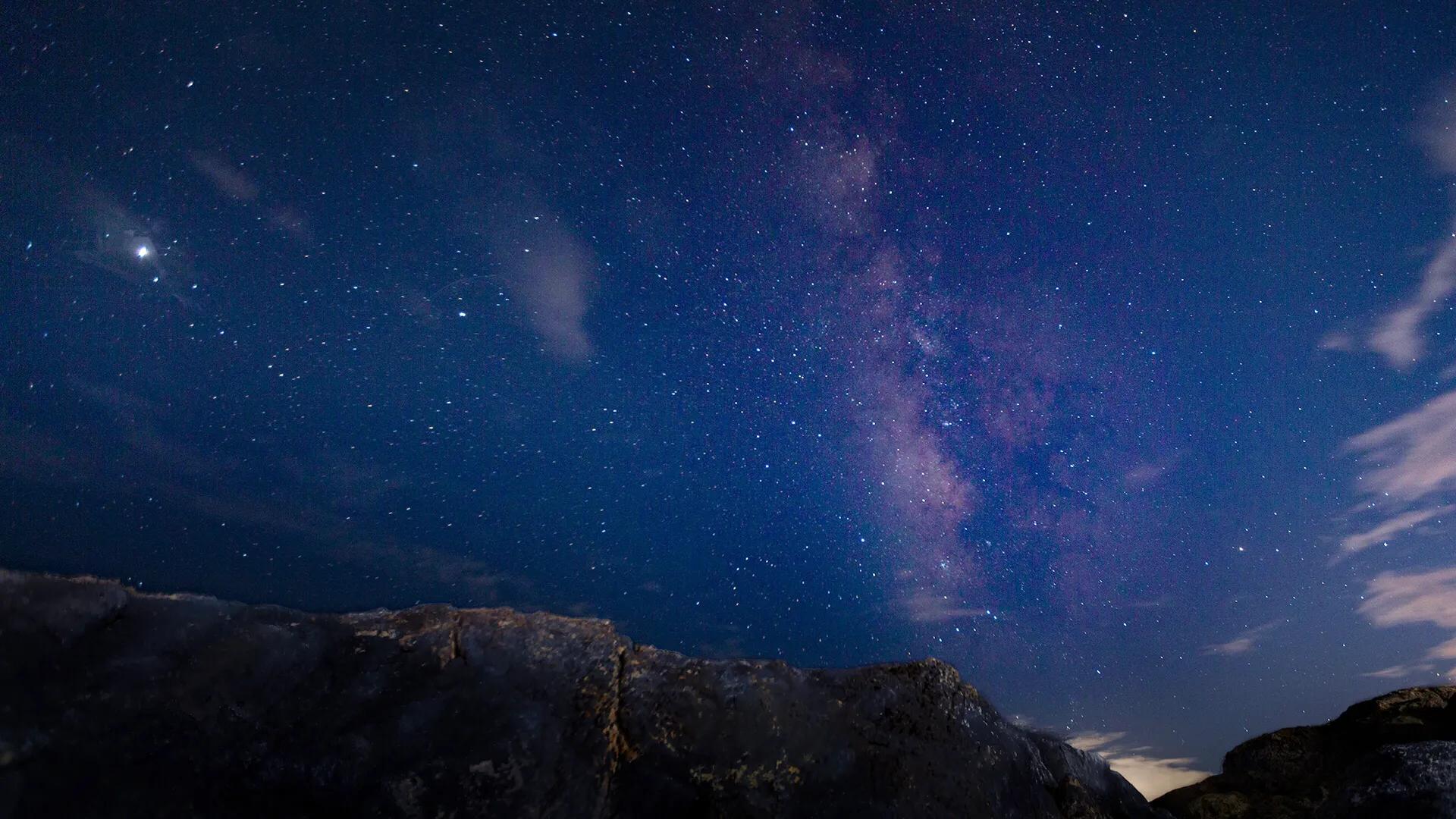 susie鎽勫奖,susie鍥剧墖