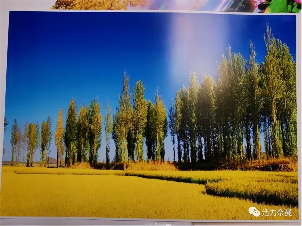 【关注】这个车间不一样,彩印,找TA→