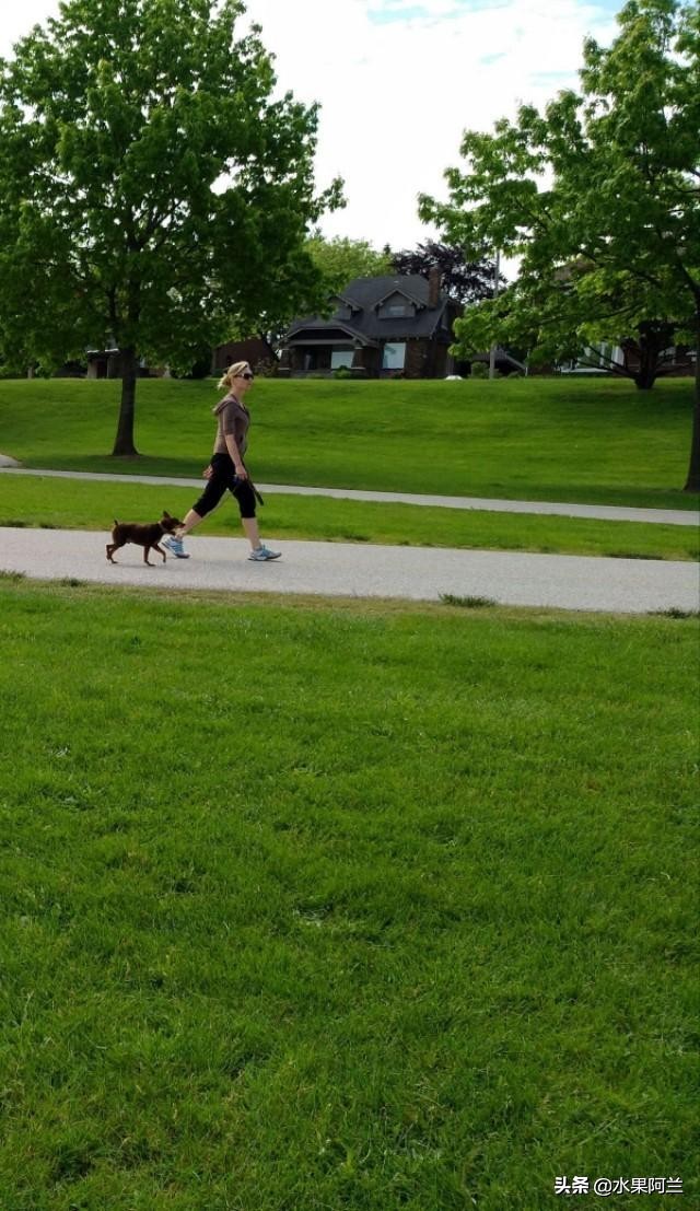 国际出行攻略,新西兰旅游攻略租车