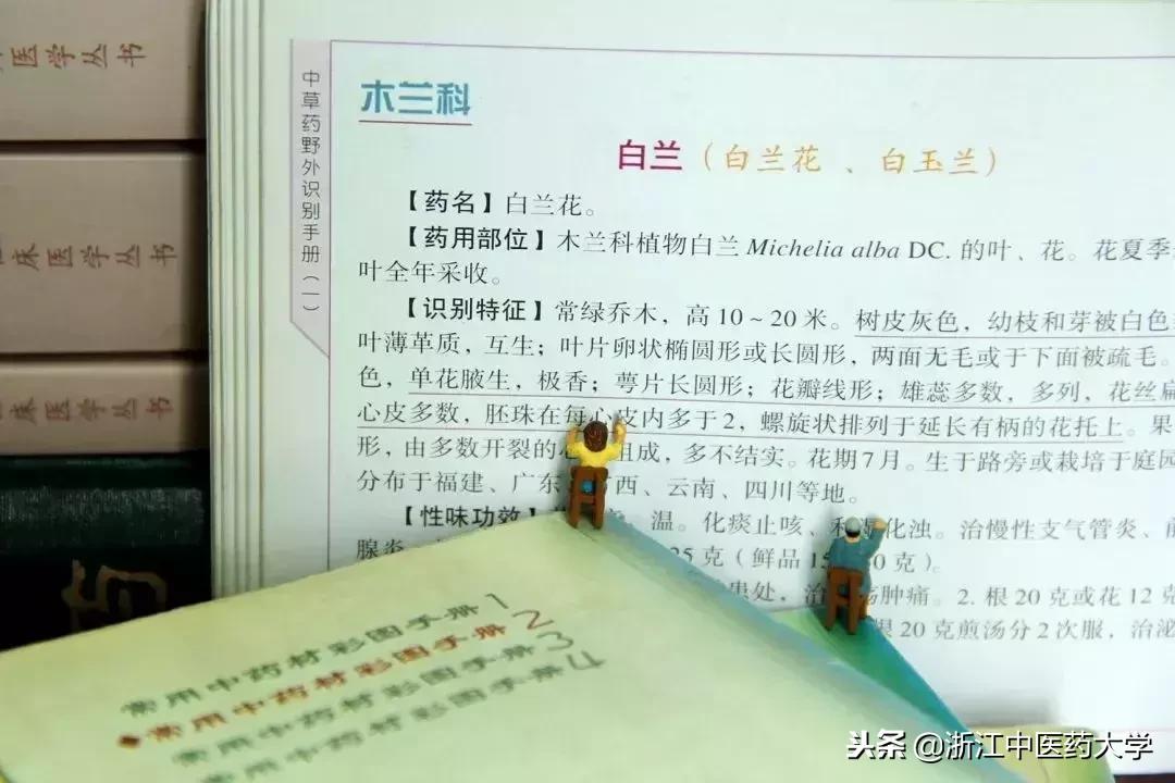 用镜头诉说中医药之美