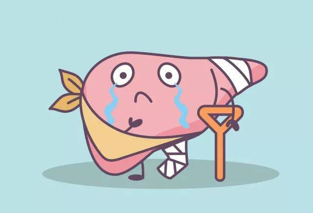 肝堵怎么调理才疏通,肝堵了吃什么食物调养最快